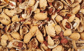 花生殼不發(fā)酵可以養(yǎng)花嗎