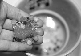 用海洋寶寶養(yǎng)花有毒嗎