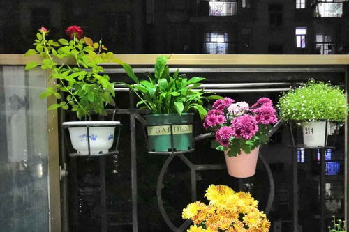 養(yǎng)花尿素一次用多少