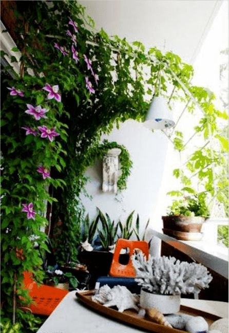 陽臺室外安裝養(yǎng)花架