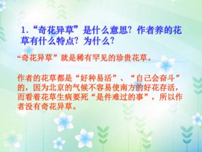 六下冊語文北師大版養(yǎng)花教案