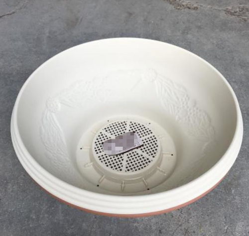 養(yǎng)花的土過段時(shí)間上面變白