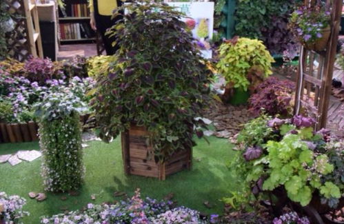 陽臺養(yǎng)花生牙蟲了怎么辦