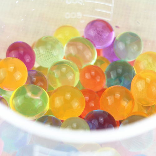 生長豆能不能養(yǎng)花