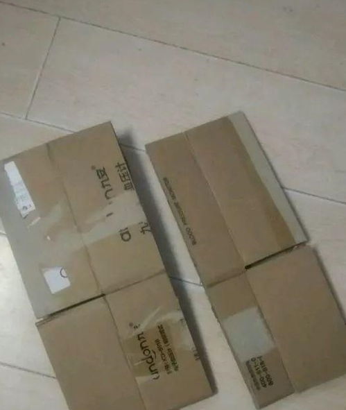 泡沫紙盒能養(yǎng)花嗎