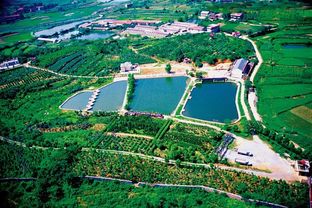 養(yǎng)花木播放