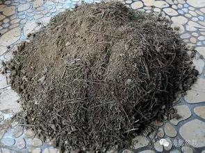 養(yǎng)花專用名詞