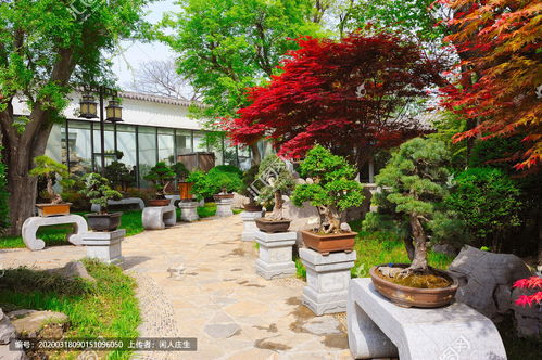 養(yǎng)花養(yǎng)鳥小溫室