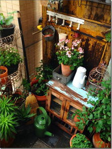 三十層露臺養(yǎng)花