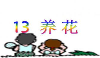 養(yǎng)花課程ppt