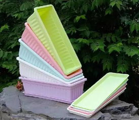 瓷盆養(yǎng)花適合什么場所