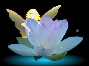 小學(xué)三級(jí)養(yǎng)花作文三級(jí)