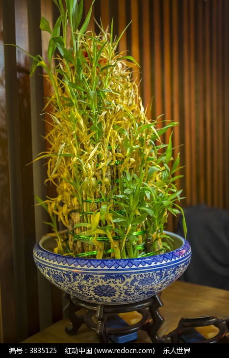 大型水養(yǎng)花盆