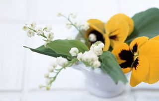 我愛養(yǎng)花作文400字