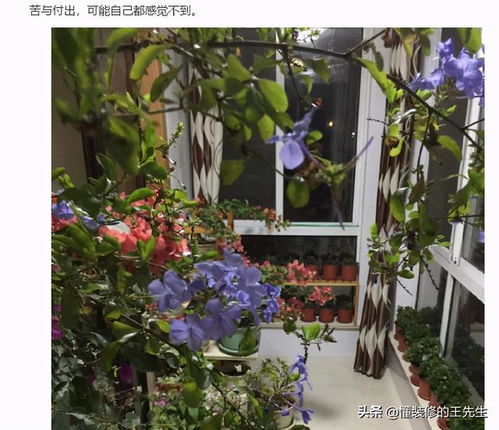 喜歡養(yǎng)花的男人豆瓣