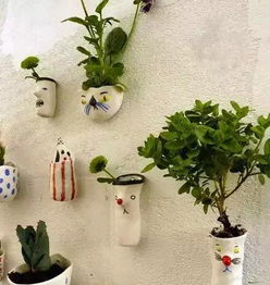 想養(yǎng)花花盆下面的眼用什么堵