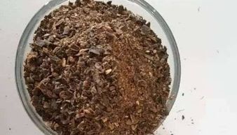 家庭養(yǎng)花要怎么自制肥料