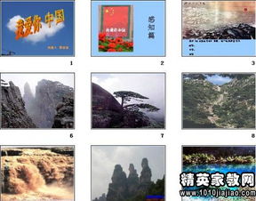 養(yǎng)花是給別人看到說課稿