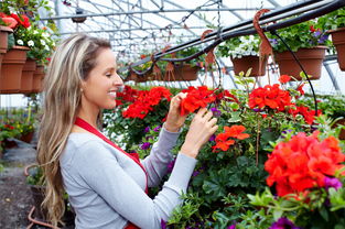 陽臺養(yǎng)花如何防止泥土四濺