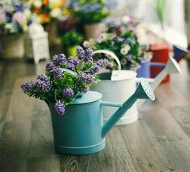 養(yǎng)花缺水怎么看