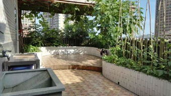 露臺(tái)曬被養(yǎng)花