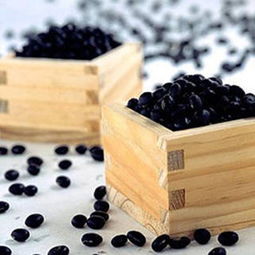 養(yǎng)花土壤加醋黑豆