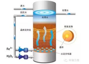 高級養(yǎng)花技術(shù)