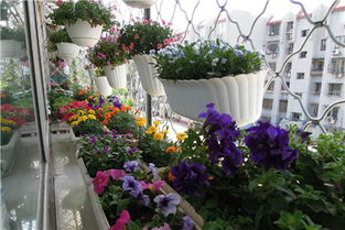 從小喜歡養(yǎng)花用什么成語形容