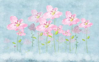 養(yǎng)花閱讀理解