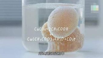 碳酸鈣加醋酸養(yǎng)花