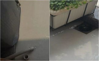 陽臺養(yǎng)花自動澆水裝置