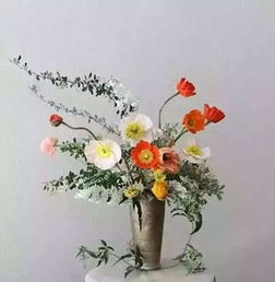 家養(yǎng)花用什么農(nóng)藥