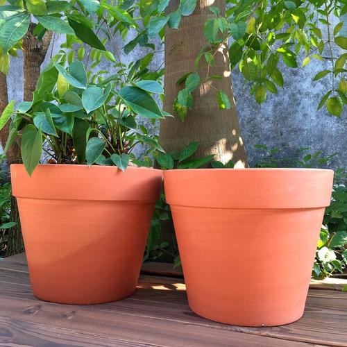 養(yǎng)花什么盆最透氣