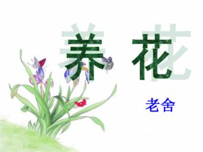 老舍《養(yǎng)花》課件