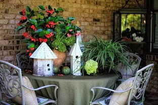 佛堂可以養(yǎng)花