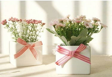 五行適合養(yǎng)花的人