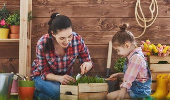 通過養(yǎng)花孩子感恩教育