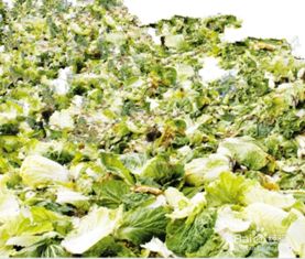 養(yǎng)花怎么自制營(yíng)養(yǎng)土