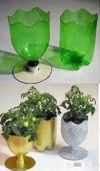 飲料瓶養(yǎng)花設(shè)計說明