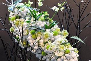 北京學習養(yǎng)花插花訓練班