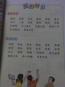 六級下冊語文書養(yǎng)花詞語