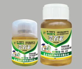 蕓苔素養(yǎng)花