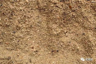 談?wù)勀銓?duì)養(yǎng)花的見解