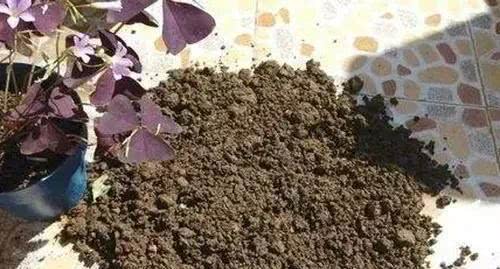 微波爐加熱消毒養(yǎng)花土能殺死嗎