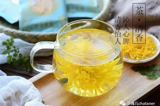 花養(yǎng)花金絲皇菊