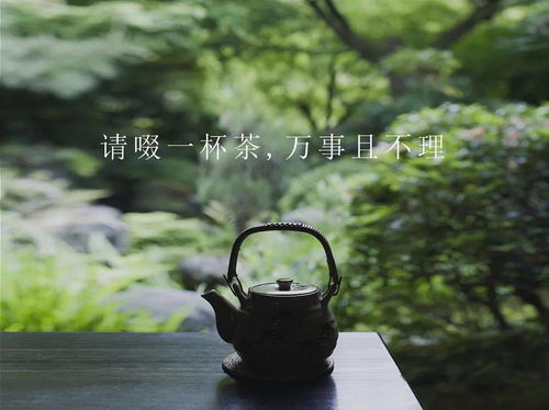 獨品清茶細聽雨淡笑塵世靜養(yǎng)花