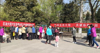 關于養(yǎng)花的活動方案