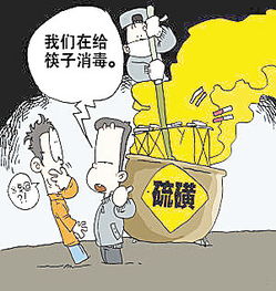 養(yǎng)花的經(jīng)歷作文200字以上