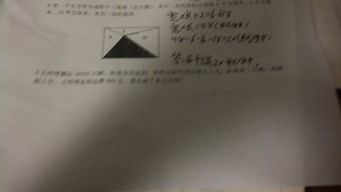 我的愛好作文600字養(yǎng)花