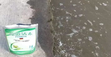 養(yǎng)花的水變長了藻是哪種藻